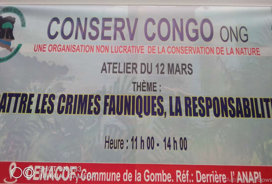 Combattre les crimes fauniques en RDC, une affaire de tous