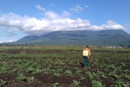 Delphin Shirambere découvre avec satisfaction les produits bio-fertilisants et pesticides !